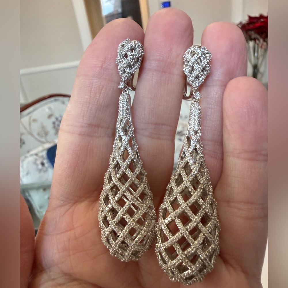 Elegant Silver Drop Earrings